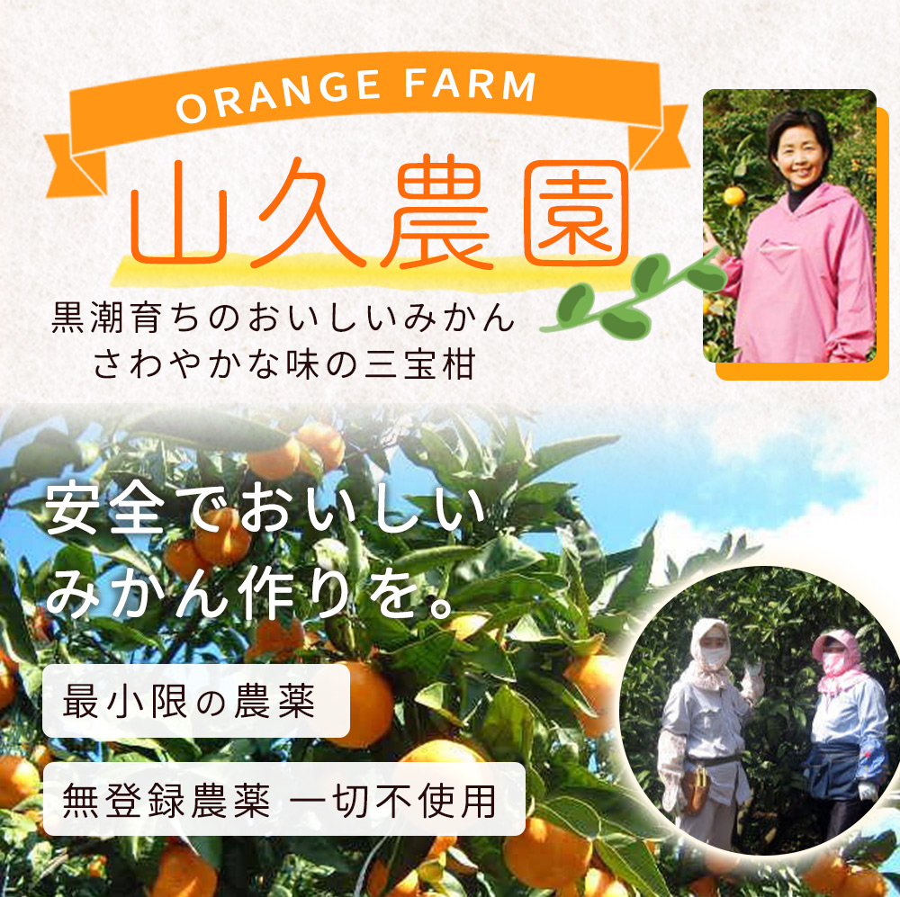 ZP6009_GFTn_【ギフト用】まるごと 三宝柑 シャーベット 5個 セ