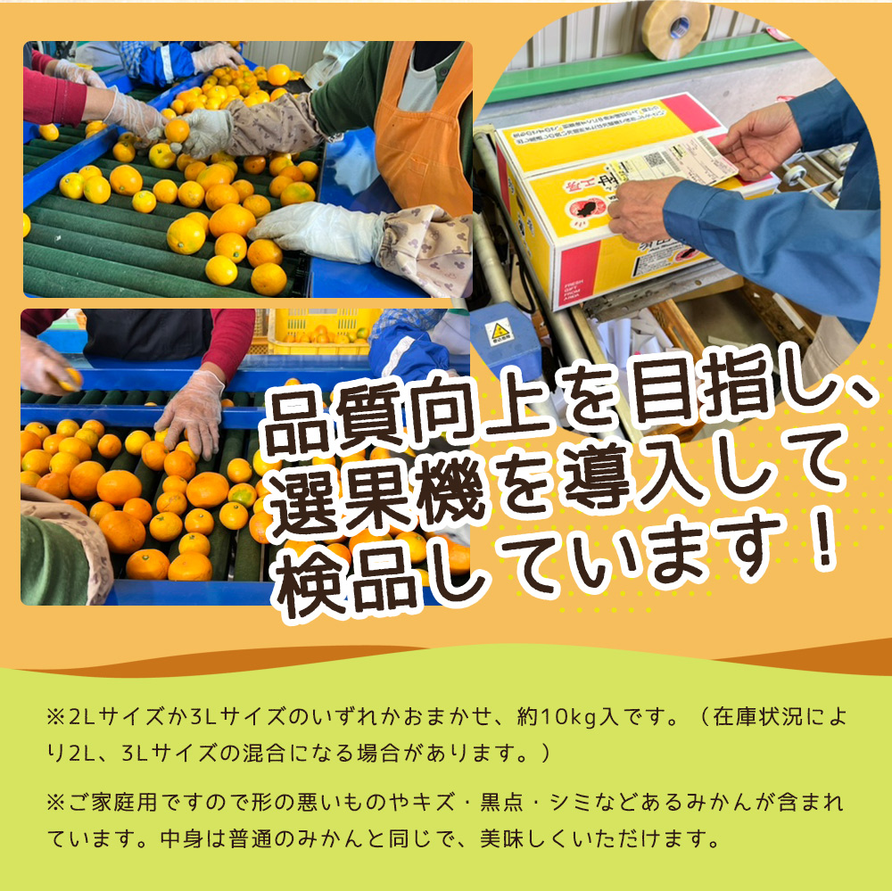 ZJ6079_ご家庭用　和歌山 有田みかん 約10kg (2L、3Lサイズ)【湯