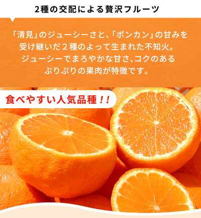 G7359_【2026年先行予約】紀州有田産 不知火 (しらぬい)【家庭