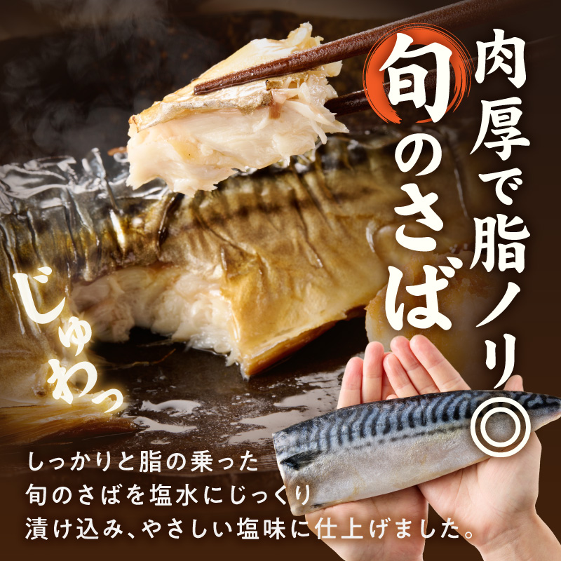 G7320_高評価 リピーター続出 塩サバフィレ 8枚 塩サバ 食べ