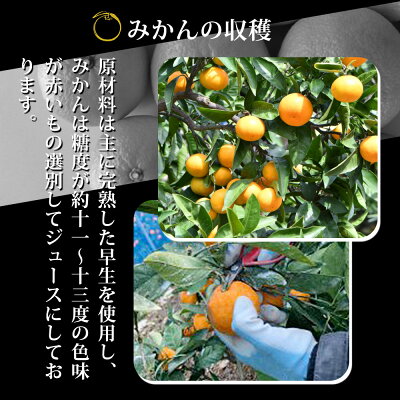 ZY6103n_有田みかんの味皇 180ml×12本 セット【和歌山 みかんジ