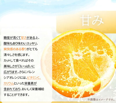 G7080_希少な 国産 バレンシアオレンジ 7kg 【家庭用 訳あり】