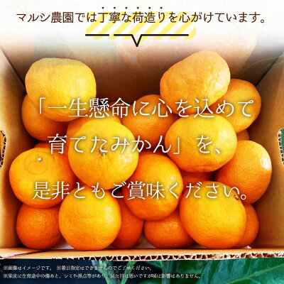 BF6031n_数量限定 期間限定 有田みかん 約 3kg 2S～Lサイズ サイ