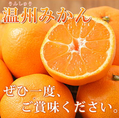 G7344_紀州 有田産 濃厚甘熟 温州みかん 5kg (小粒サイズ)