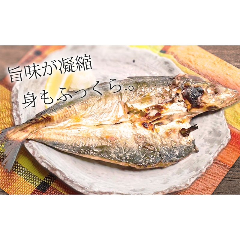 DL6002n_しらす ・ 干物 おまかせ詰め合わせ セット B