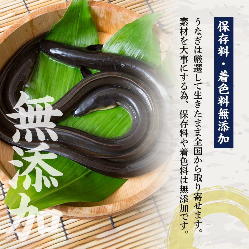 R6102_紀州備長炭焼き 特大 うなぎ 蒲焼き(国産)【鰻 ウナギ 