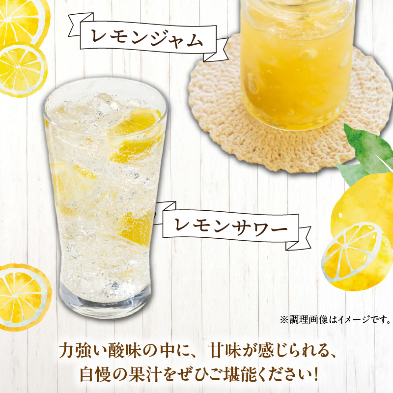 EA6012n_和歌山県産 完熟 レモン 7kg 皮まで使用可能（栽培期