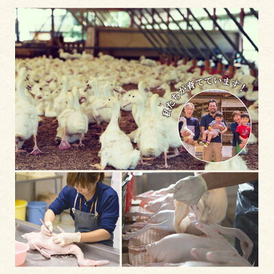 AK6007n_紀州鴨セット（ ローススライス300g  つくね200g  ソー