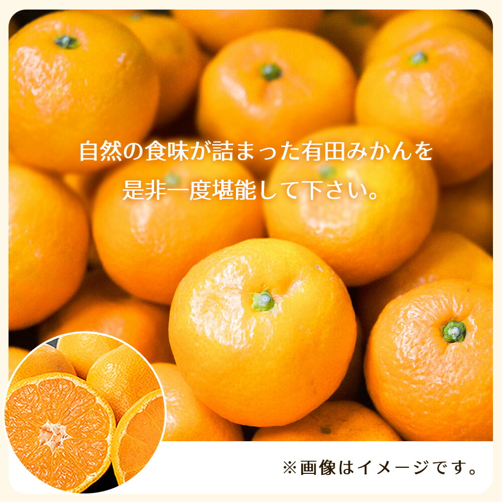 BT6009_和歌山県有田産 みかん 10kg×2箱 2L～3Sサイズ（おまか