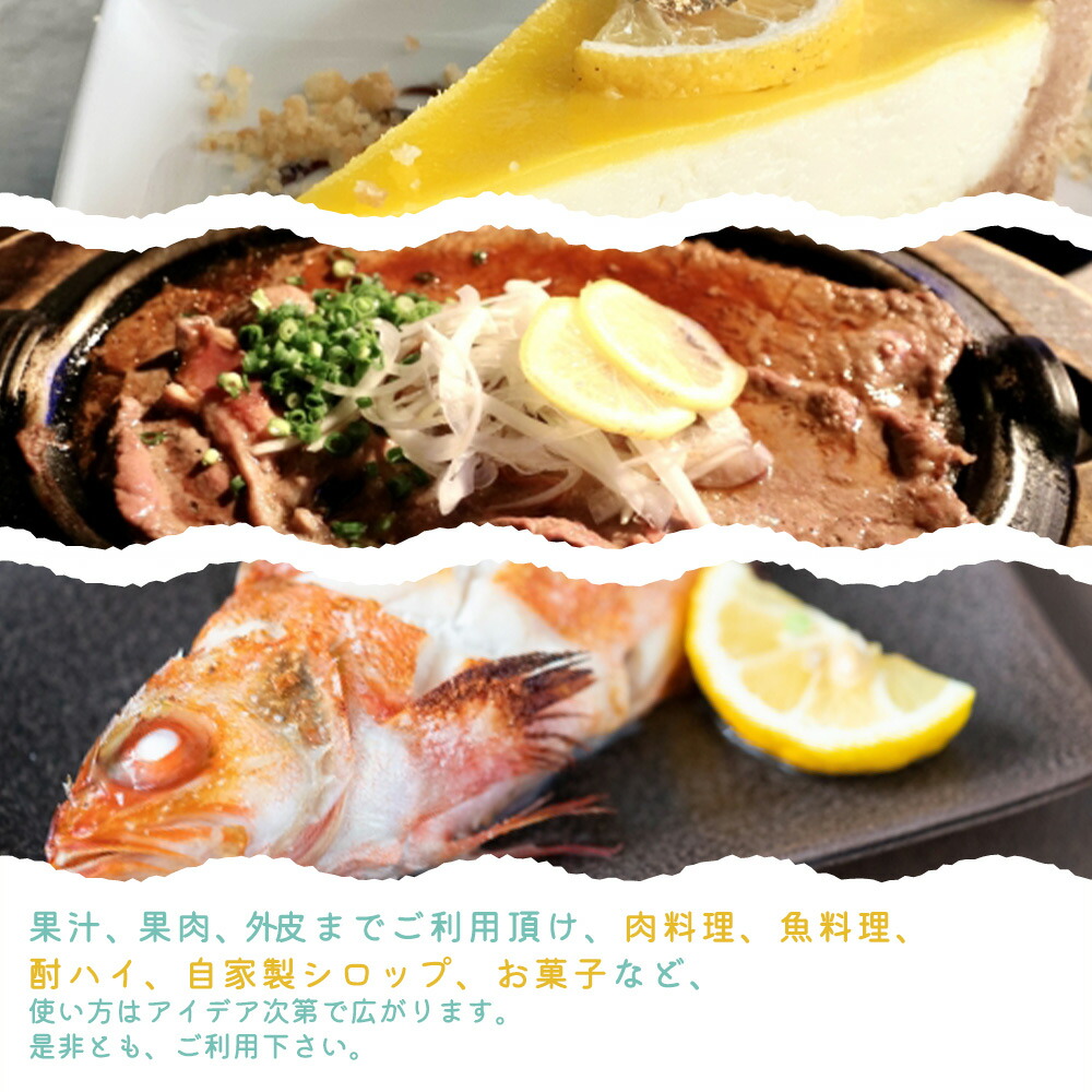 G7068_【2026年先行予約】秀品 紀州有田産レモン 2.5kg