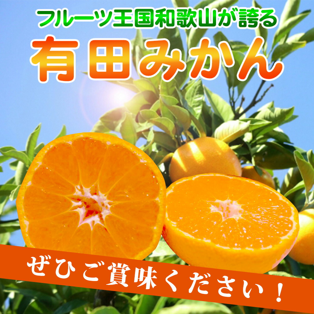 ZN6012_こだわりの和歌山県産 有田みかん 3kg ひとつひとつ手