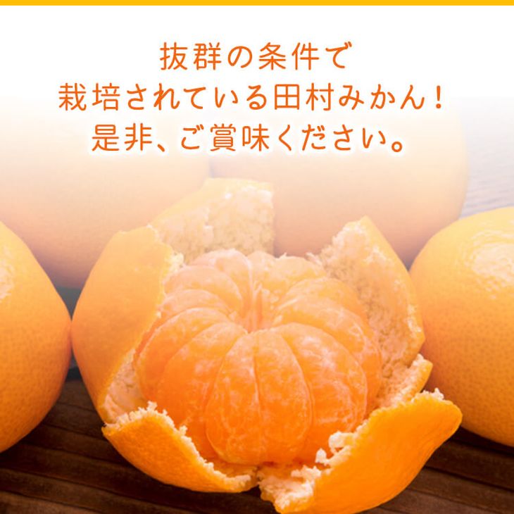 AB7127_【和歌山特産品】【プレミアムブランド】絶品！ 田村