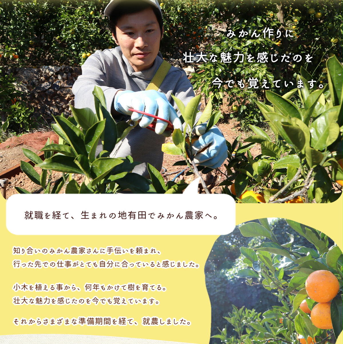 AN6112_有田みかん【訳あり】1kg SS～2Lサイズ混合 農家直送