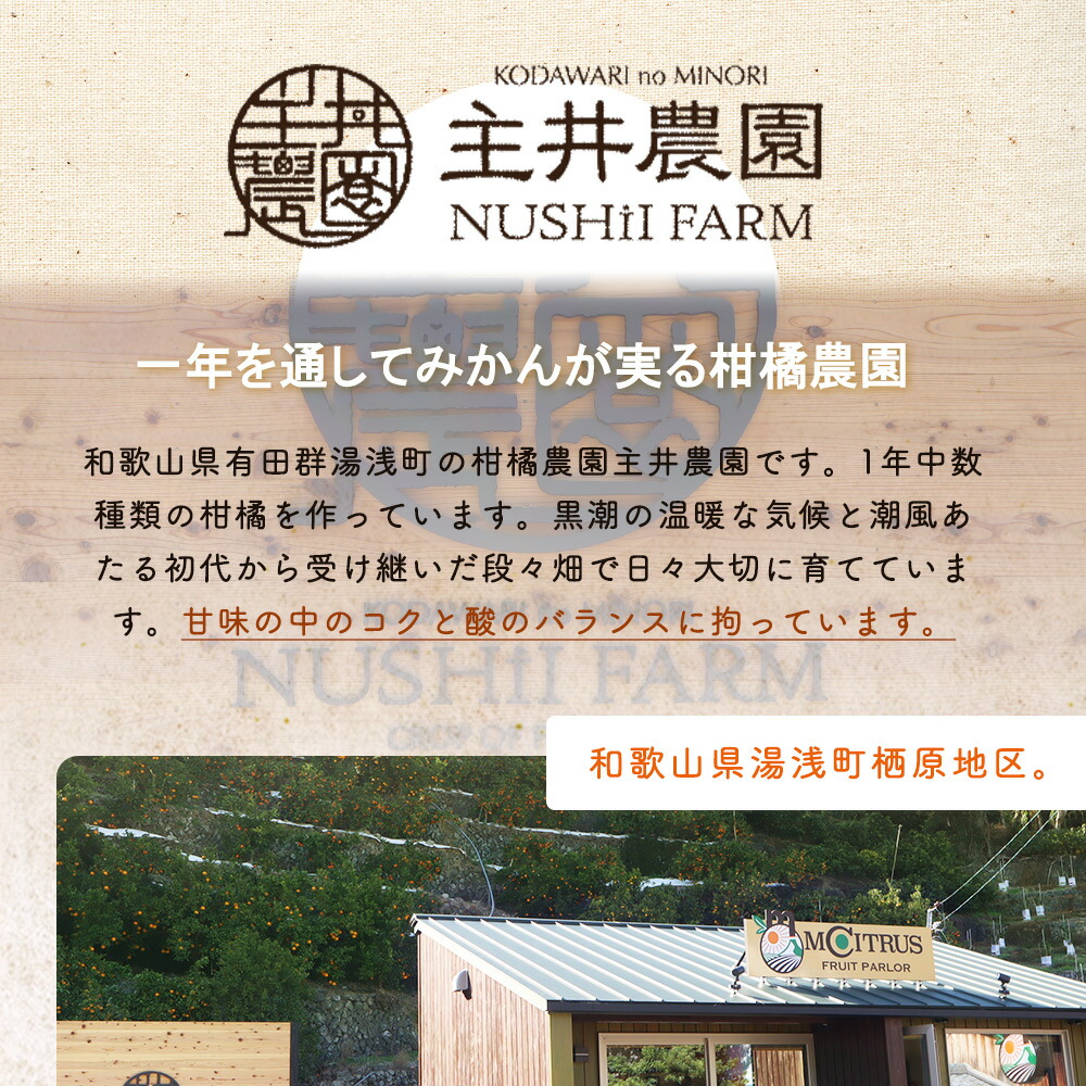 ZS6146_主井農園 高級 松兵衛みかん ご家庭用 1kg お試し (サイ
