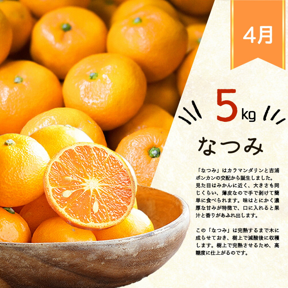 G60-T31_【定期便 全4回】紀州和歌山産旬の柑橘セット（みか