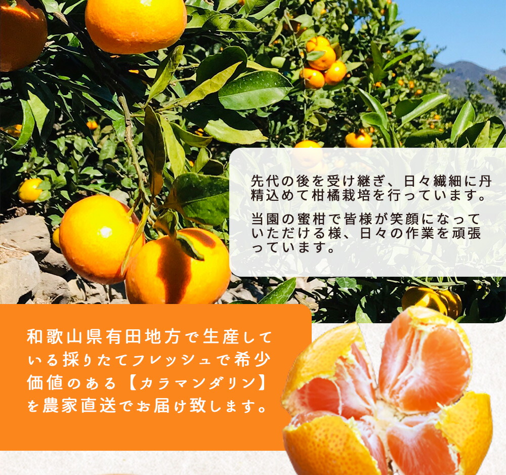 ZT6402_【2026年先行予約】カラマンダリン 秀優 3kg 2S～2Lサイ