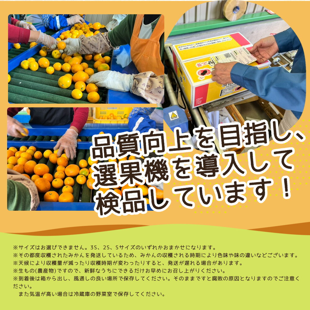 ZJ6093_【ご家庭用】有田みかん約10kg(3S、2S、Sサイズ)【湯浅