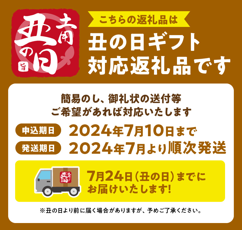 R6102_U_【丑の日までにお届け】紀州備長炭焼き 特大 うなぎ 