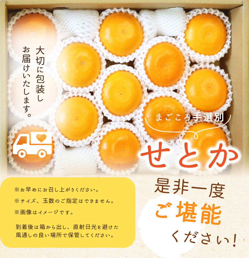 ZE6401n_【2026年先行予約】湯浅町産せとか11～15玉（M～2Lサイ
