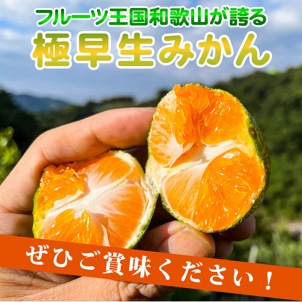 EA6106_【2026年先行予約】和歌山県限定の極早生みかん 7kg (YN-