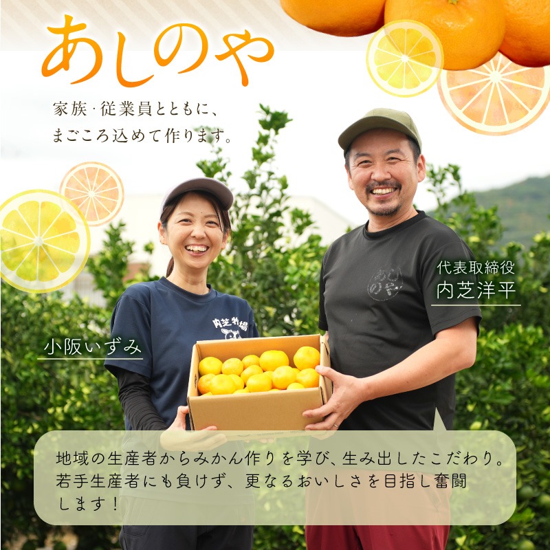 ZE6446_【2026年先行予約】【まごころ手選別】和歌山県産 有