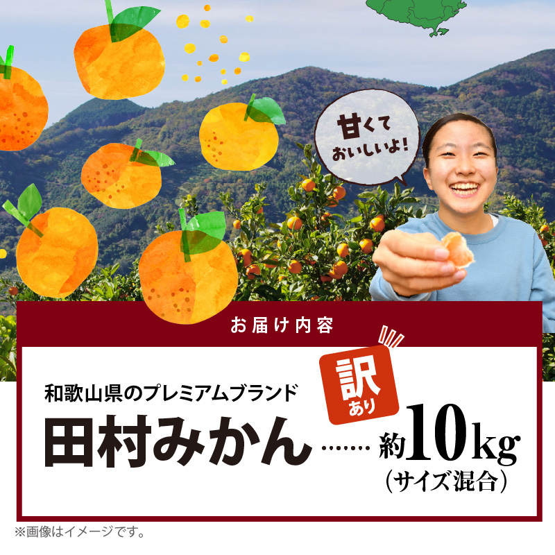 AB7300_ ご家庭用 田村みかん サイズ混合 約10kg わけあり 訳あ