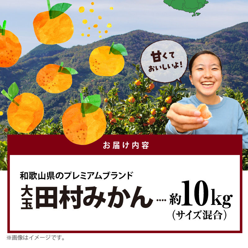 AB7302_ 大玉田村みかん 2L・3Lサイズ 秀品 約10kg _ 和歌山プレ