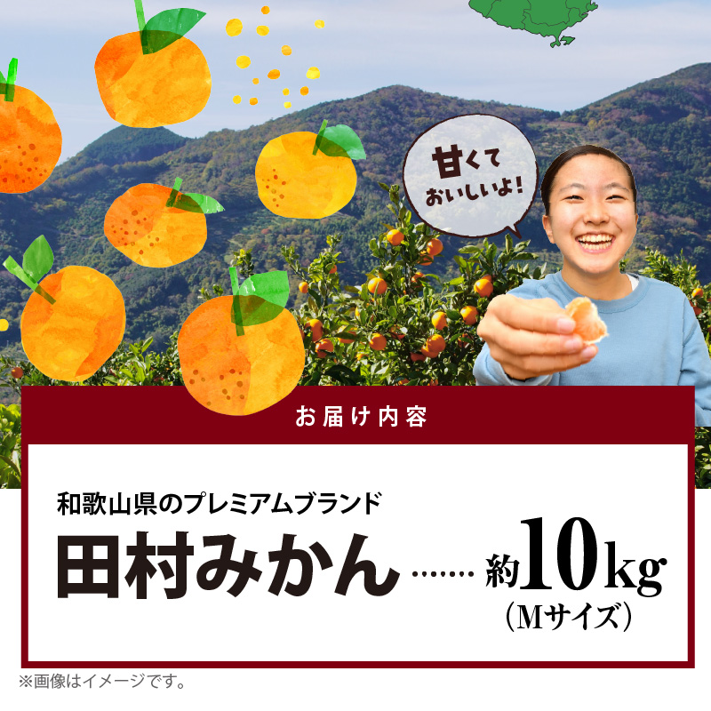 AB7306_ プレミアムブランド 田村みかん Mサイズ 秀品  約10kg _