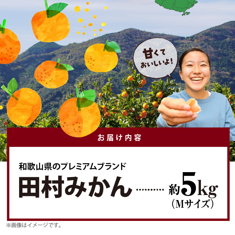 AB7307_プレミアムブランド 田村みかん Mサイズ 秀品 約5kg  和