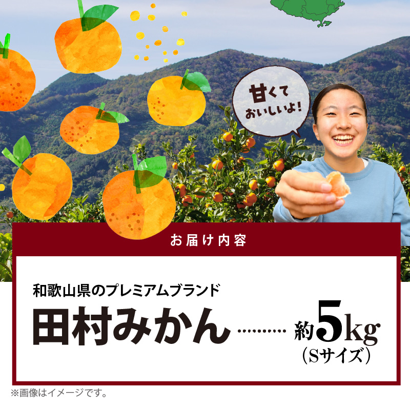 AB7309_ プレミアムブランド 田村みかん Sサイズ 秀品  約5kg _ 