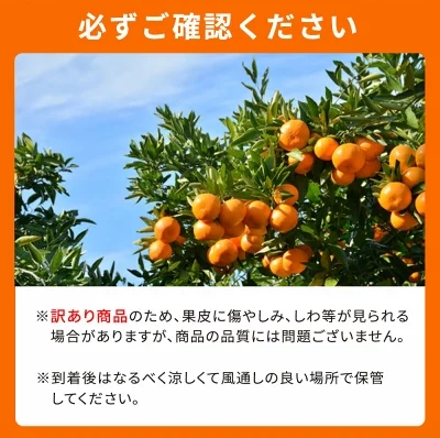 G7357_【2026年先行予約】紀州有田産 不知火 (しらぬい)【家庭