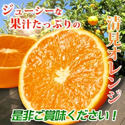 G7329_【2026年先行予約】紀州有田産 清見 オレンジ 5kg【家庭