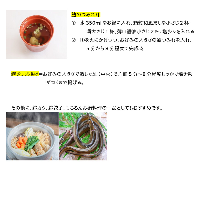 SD1001_鱧すり身 200g × 2個 高級魚 鱧 漁港直送 その日に加工 