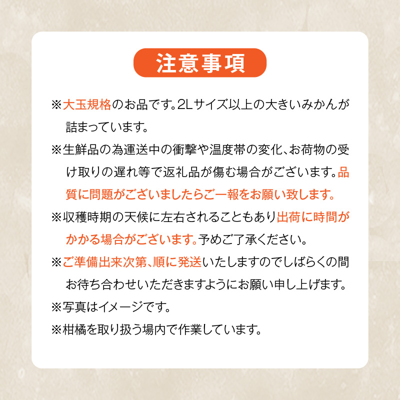 MK1034_みかん 大玉 どっこいしょ 箱込 10kg ( 内容量 9.2kg ) 2Lサ