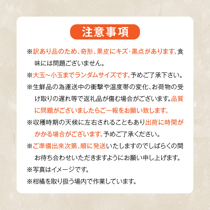 MK1035_訳あり それでも みかん 箱込 5kg ( 内容量 4.4kg ) サイズ