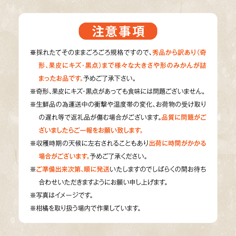 MK1050_みかん 山から直送 箱込 1kg ( 内容量 0.9kg ) 鮮度優先ご