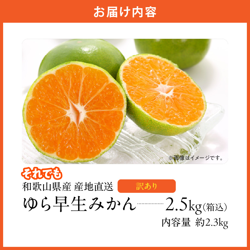MK1069_訳あり ゆら早生 みかん 箱込 2.5kg ( 内容量 2.3kg ) サイ