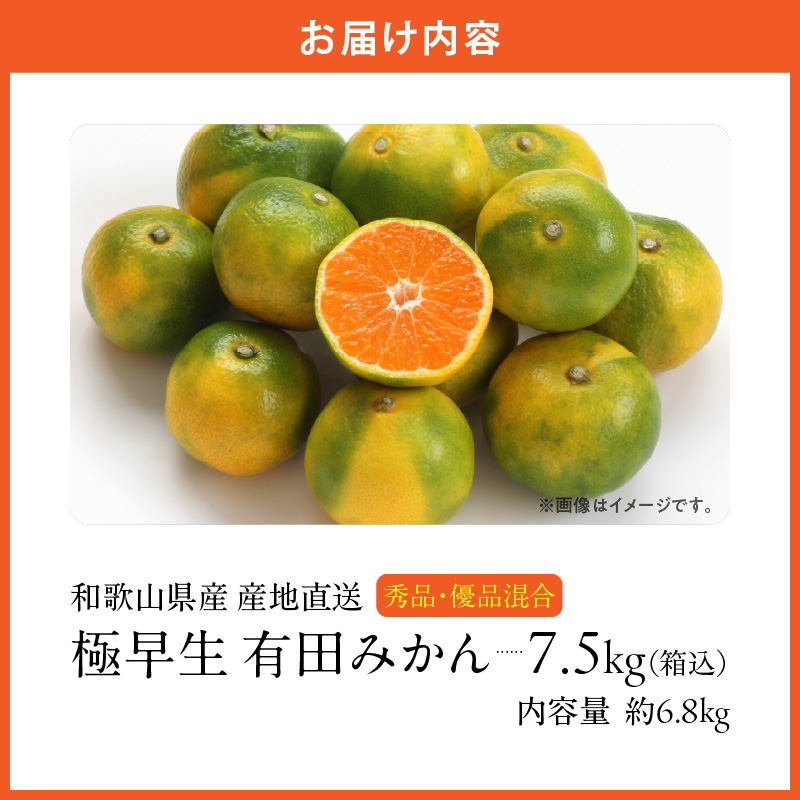 MK1071_【2026年先行予約】みかん 極早生 箱込 7.5kg ( 内容量6.8k