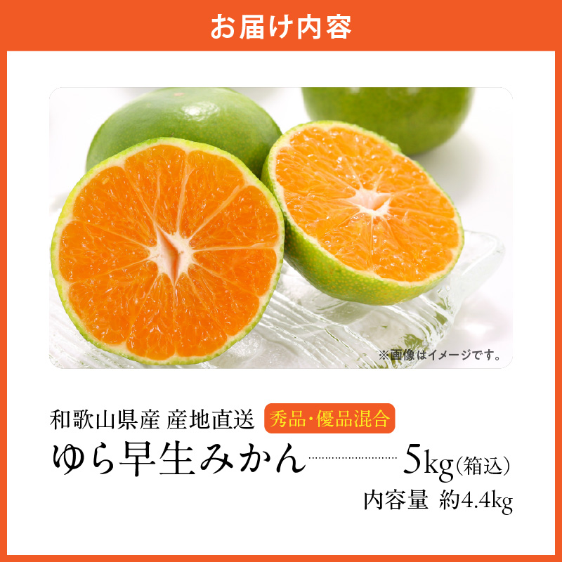 MK1056_【2026先行予約】ゆら早生 みかん 箱込 5kg ( 内容量 4.4kg