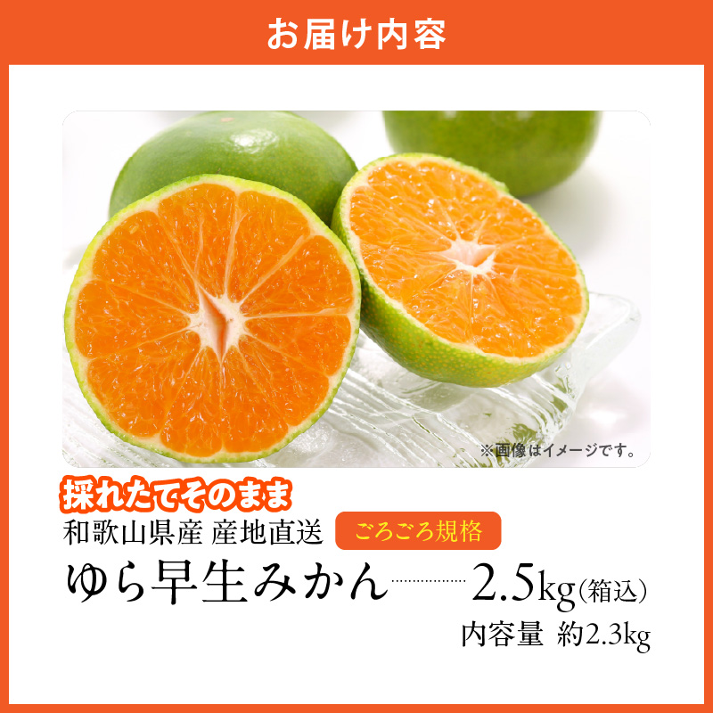 MK1065_ゆら早生 みかん 山から直送 箱込 2.5kg ( 内容量 2.3kg ) 