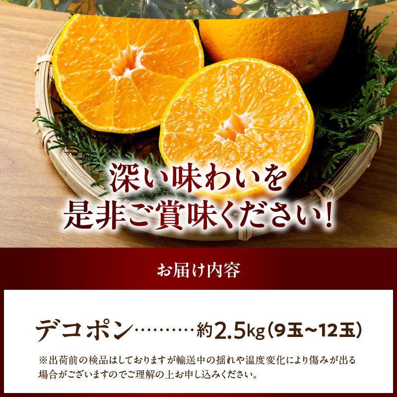 BD7008_【2026年先行予約】和歌山有田産 デコポン秀品のみ！ 2