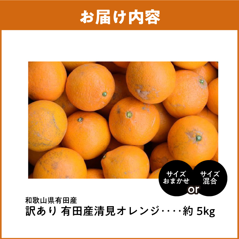 ZD92071_【2026年先行予約】【産直】有田産清見オレンジ 約5kg
