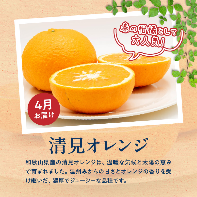 G60-T98_【発送月固定定期便】紀州和歌山産旬のご家庭用柑橘