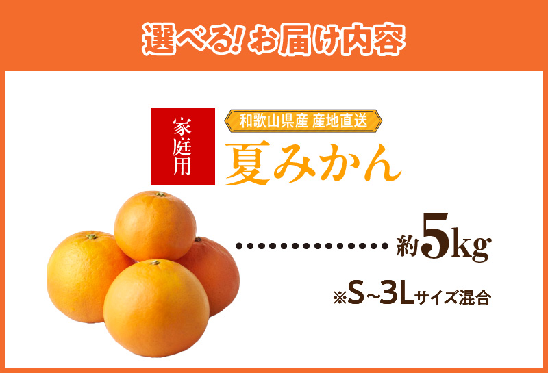 ZE6507_【2026年先行予約】和歌山県産　夏みかん　5kg　家庭用