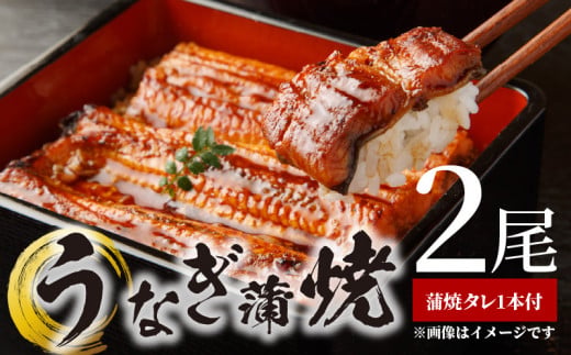 BC6006_うなぎ蒲焼 2本 角長特製蒲焼タレ 1本 セット 国産 安