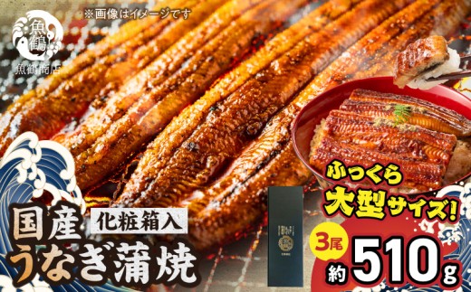 G7311_大型サイズ ふっくら柔らか 国産うなぎ 蒲焼き 3尾 (約6