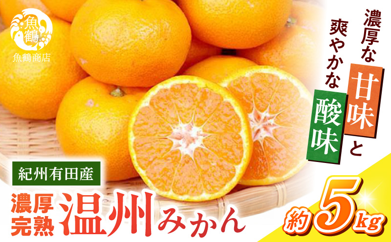 G7043_【2026年11月下旬より発送】紀州有田産 濃厚甘熟温州み