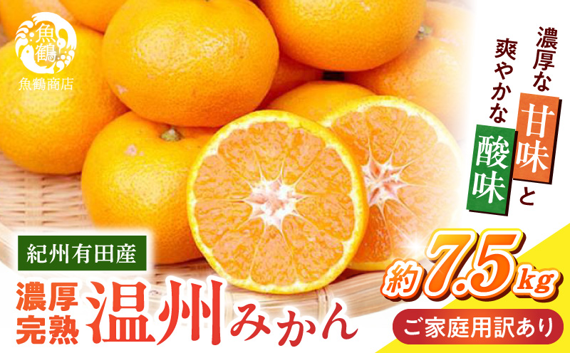 G7345_【2026年11月下旬より発送】紀州 有田産 濃厚甘熟 温州