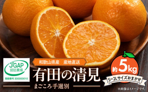ZE6114n_【2026年先行予約】和歌山県産 有田の 清見 5kg (S～2Lサ