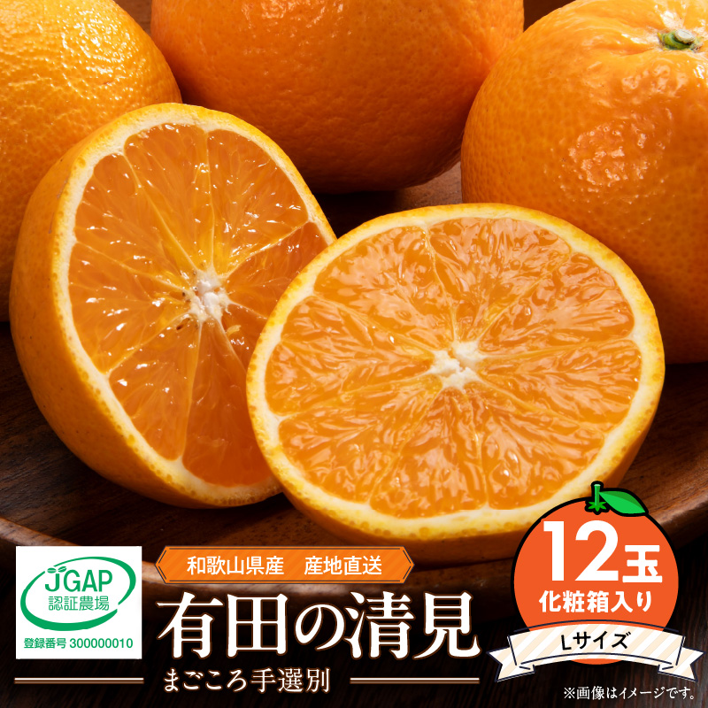 ZE6118n_【2026年先行予約】和歌山県産 有田の 清見 化粧箱入